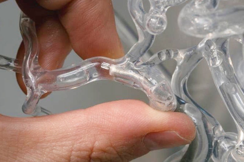    Фото: Эндрю Бродхэд