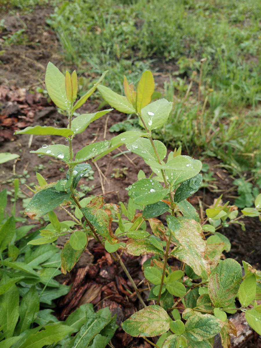 Она поначалу плохо себя чувствовала, но теперь это в прошлом