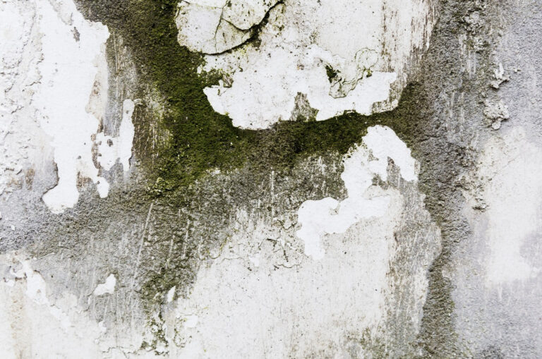    Фото: freepik.com/freepik Ольга Чистова