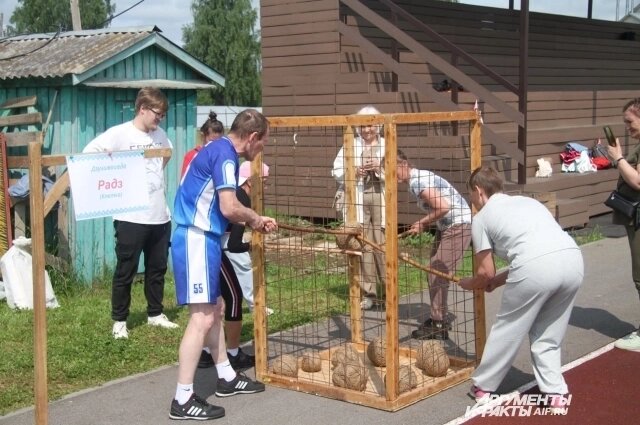    Фото: АиФ/ Андрей Мельников