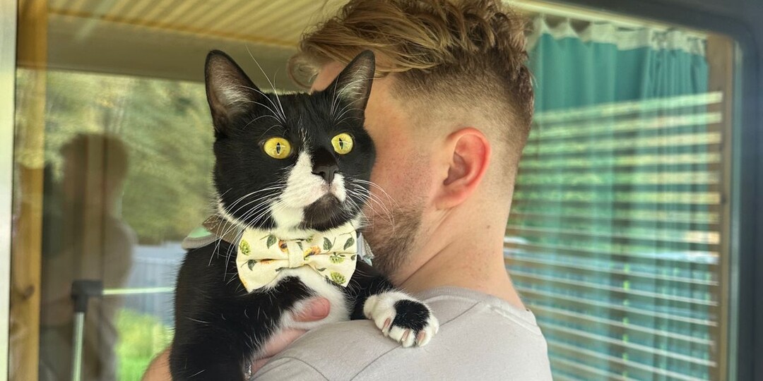 С Днём блогера!