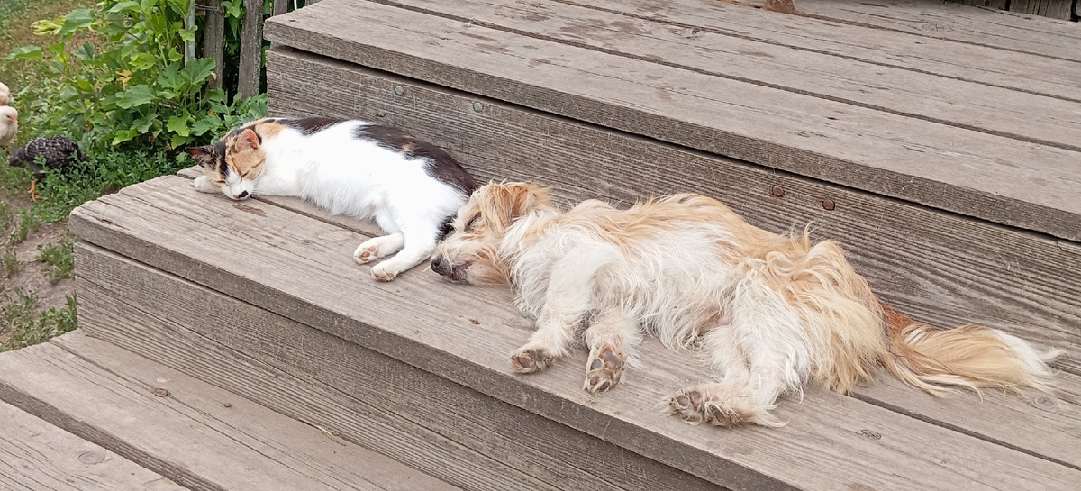 В деревне все спокойно
