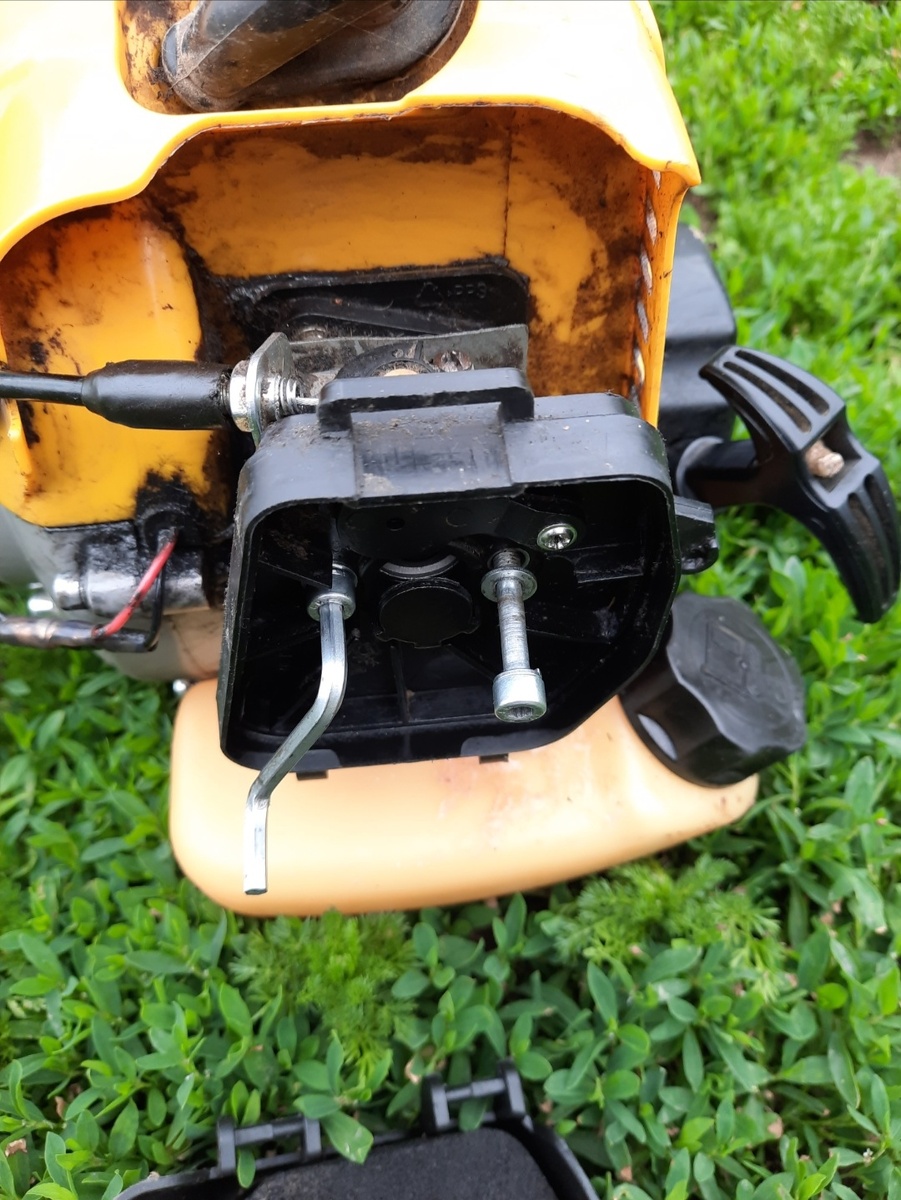 Один есть, а теперь второй. Фото автора 