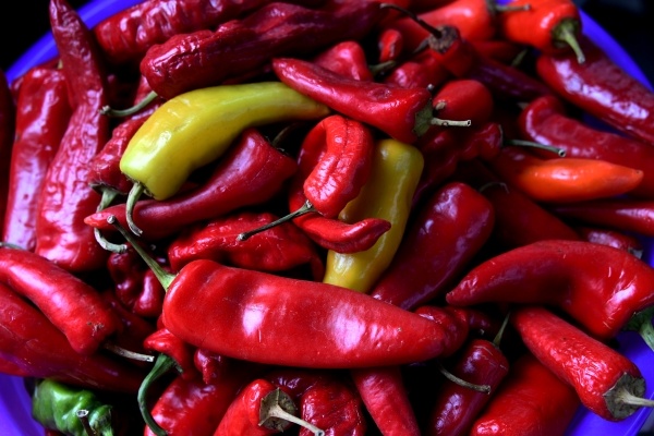 Фото: РИА Новости/Виталий Аньков