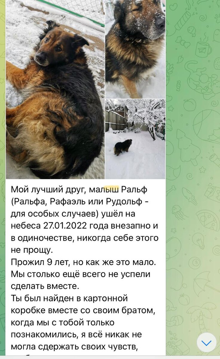 Из открытых источников. 