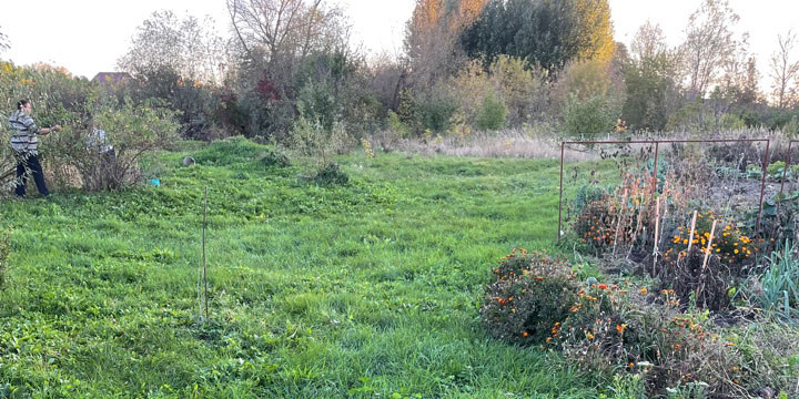    Фото: Максим Алтухов