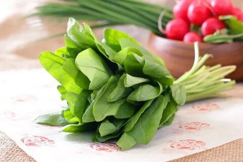 Щавель купить