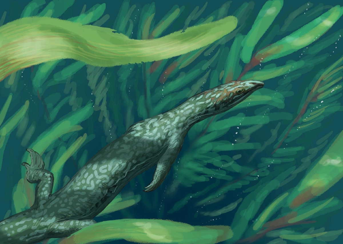 Вапитизавр от Джошуа Кнуппе.