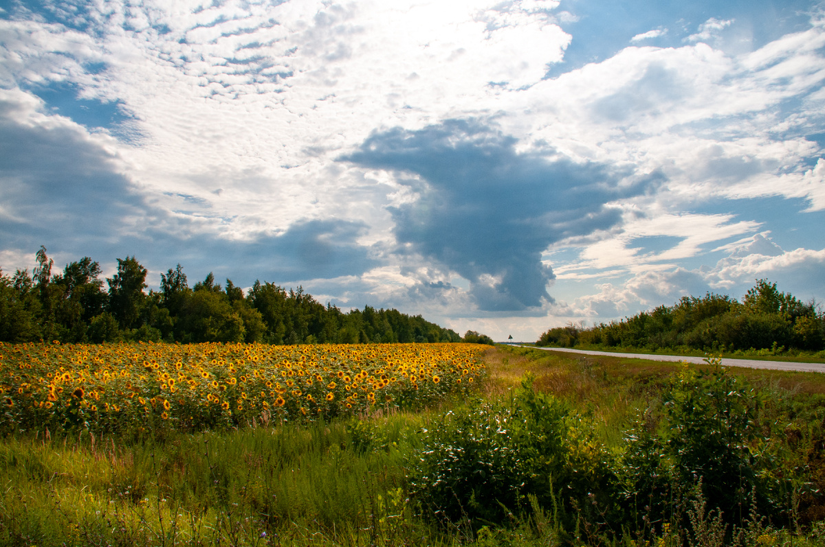 фото: Svetlana Vozmilova/Global Look Press