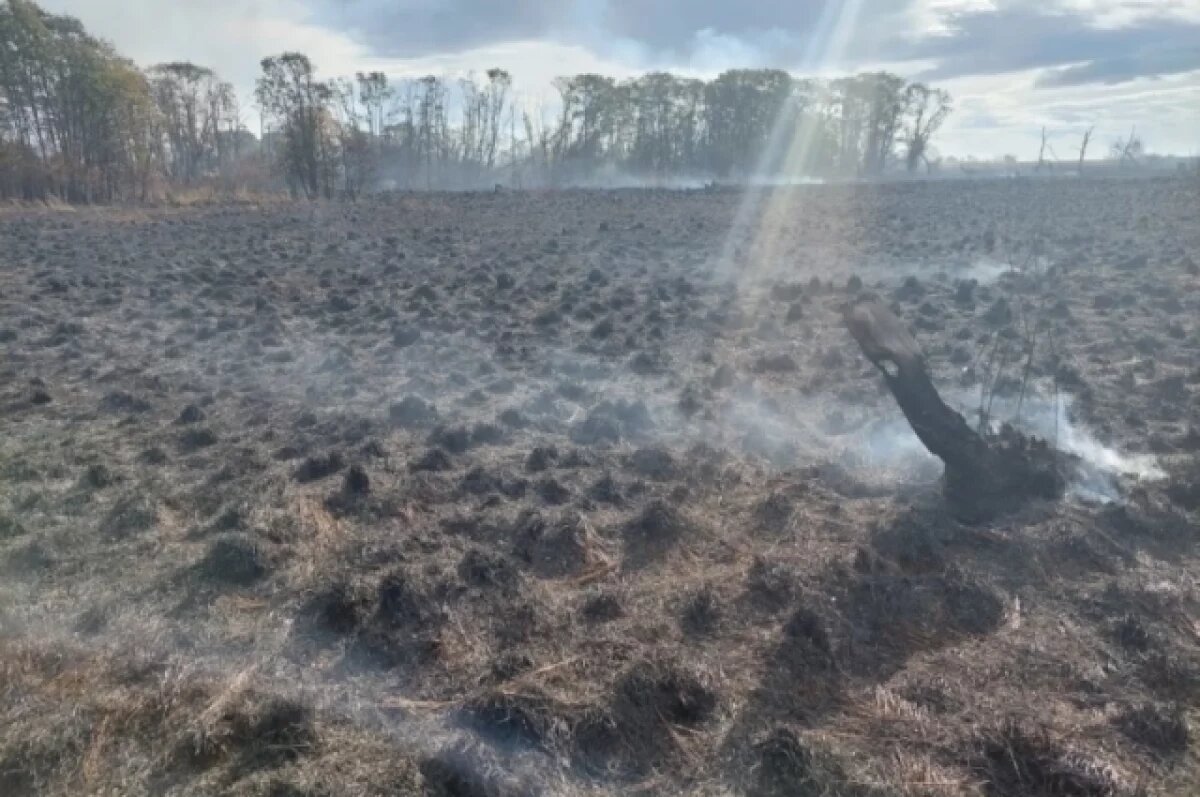    Жителей Новосибирска предупредили о высокой пожарной опасности