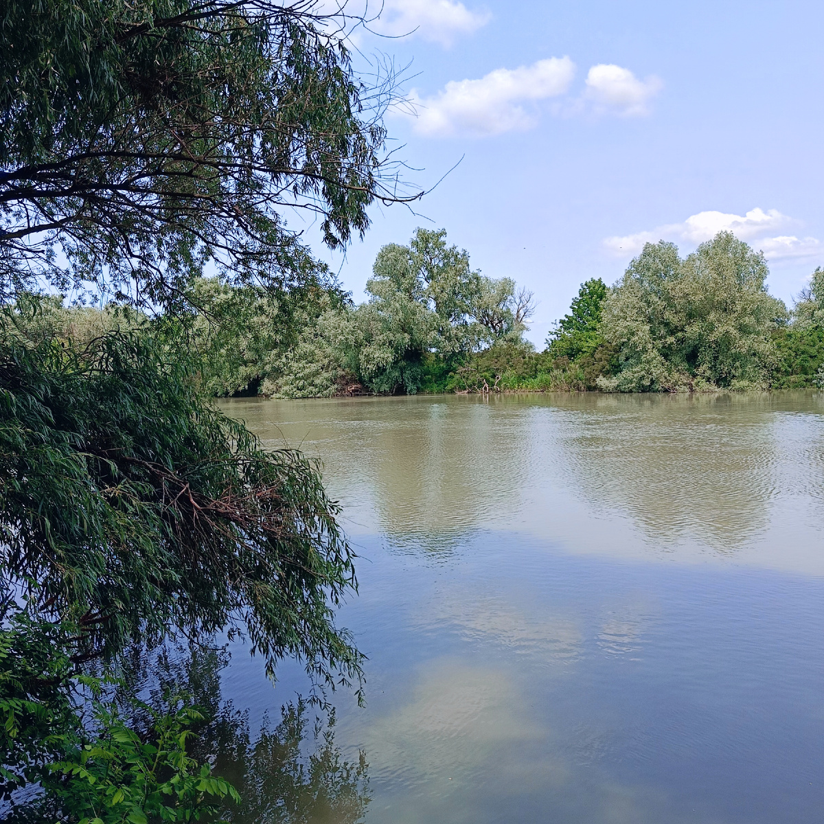 Речка "Кубань"