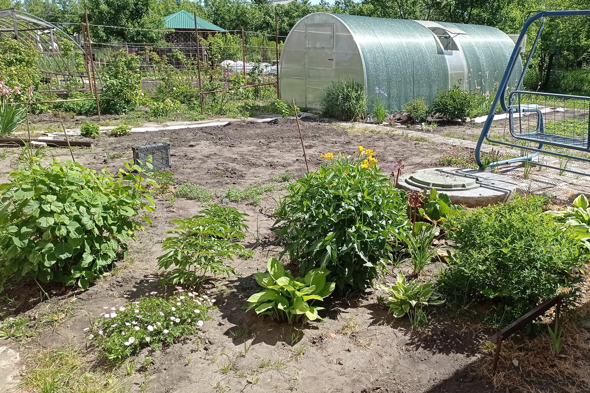 Вот это место, углом упирается в теплицу