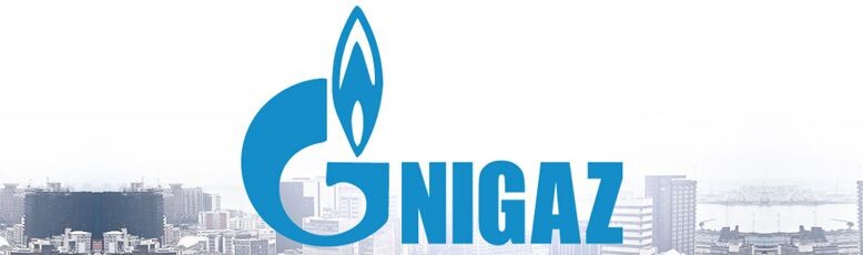 Nigaz: как одна ошибка в нейминге может взорвать репутацию 