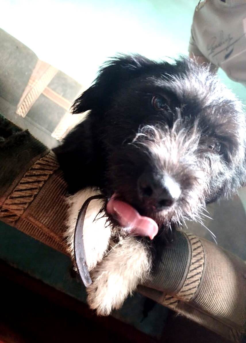 Здрасьте! Это я Пухля!