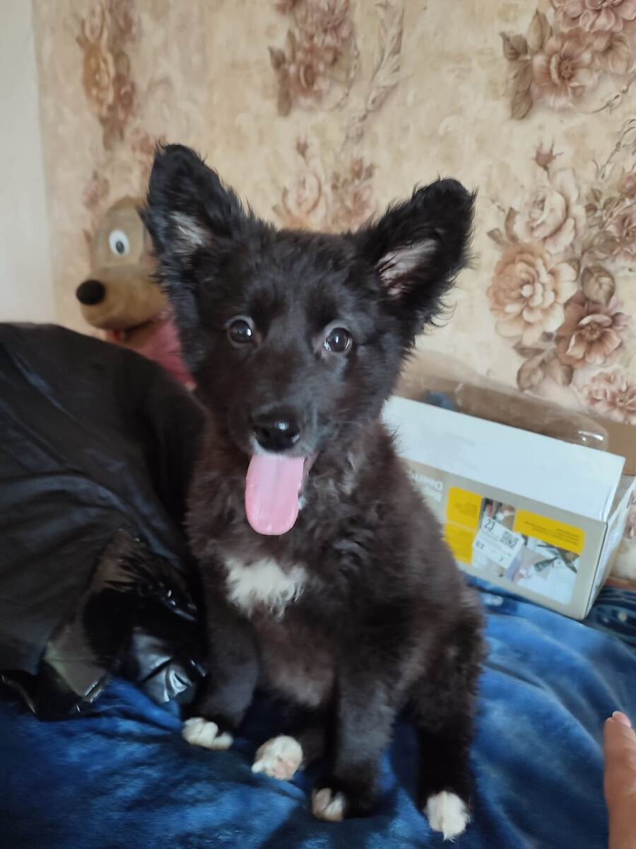 Меня назвали Юна!