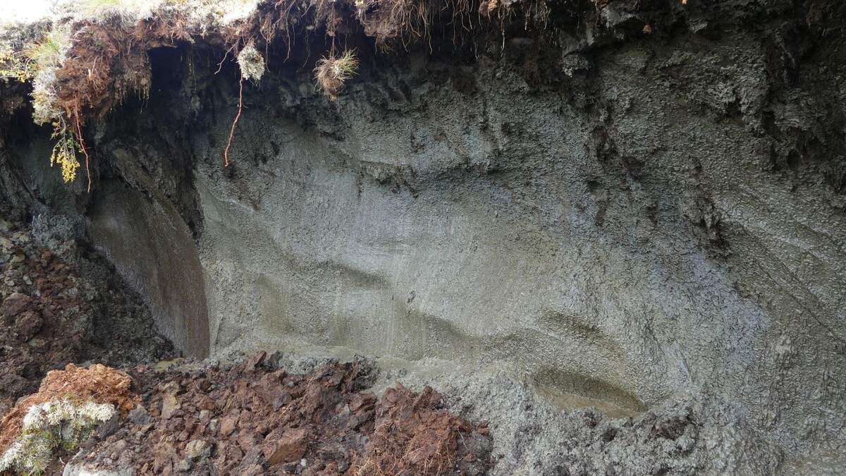    Фото: Milan Sommer / Shutterstock / Fotodom