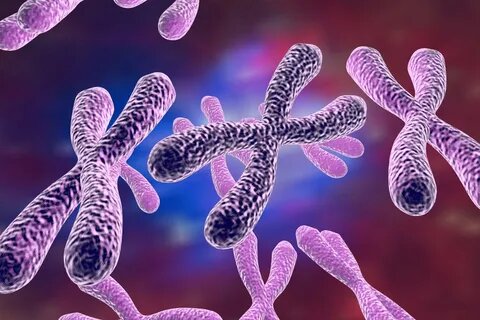 https://www.twistbioscience.com/sites/default/files/inline-images/AdobeStock_92014401%20%281%29-min.jpeg