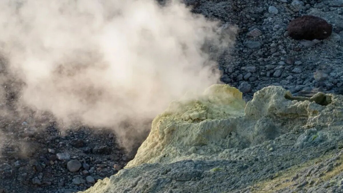    Фото: Belikova Oksana / Shutterstock / Fotodom