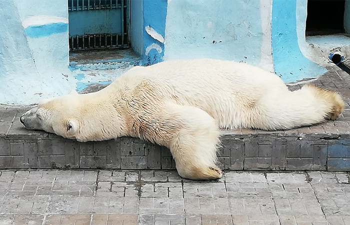 Фото: epigraph.info