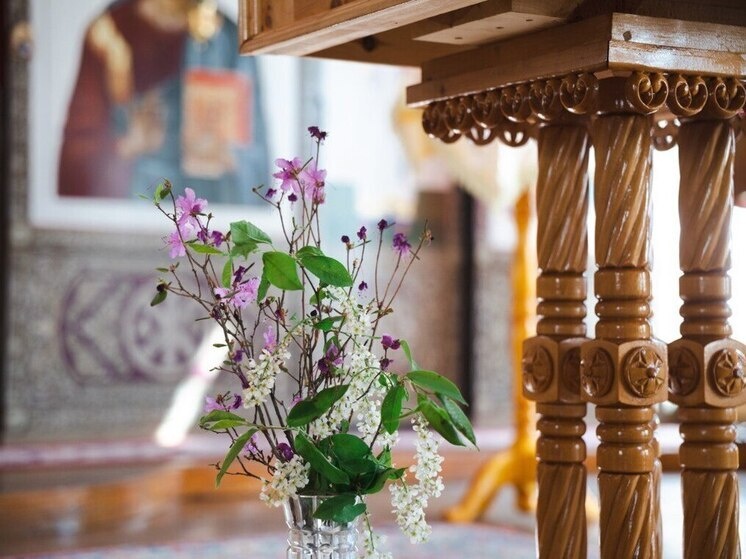   Анна Арапова