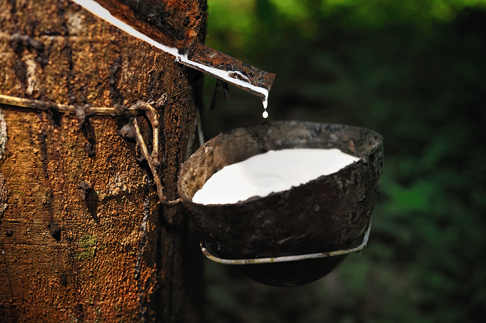 https://elastomer.co.uk/wp-content/uploads/2022/07/What-Raw-Materials-Are-Used-to-Make-Rubber-1.png