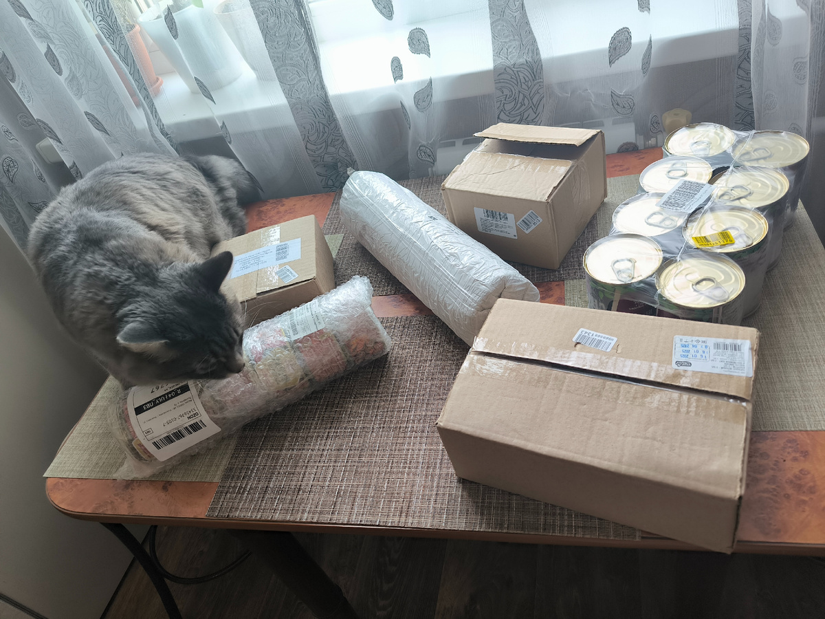 Все фотографии в статье авторские 