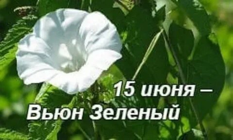 изображение взято с сайта яндекс картинки