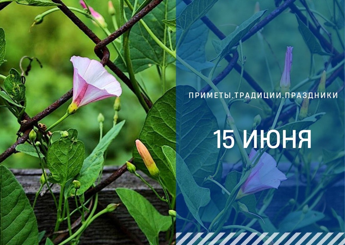   ГТРК "Ставрополье"