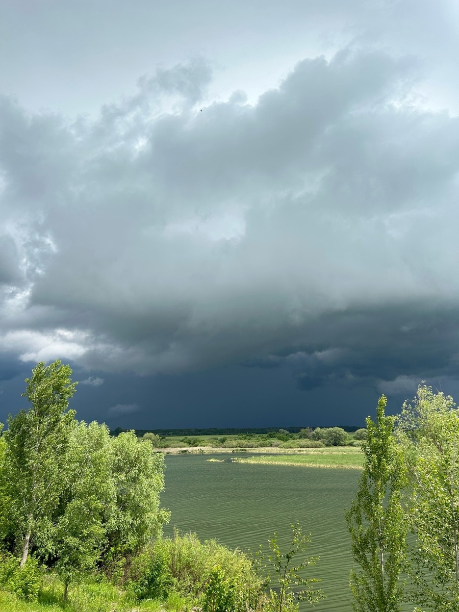    Фото: Анастасия Федосеева