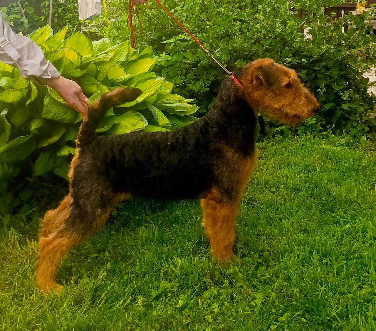 Ну хорошенькая же!