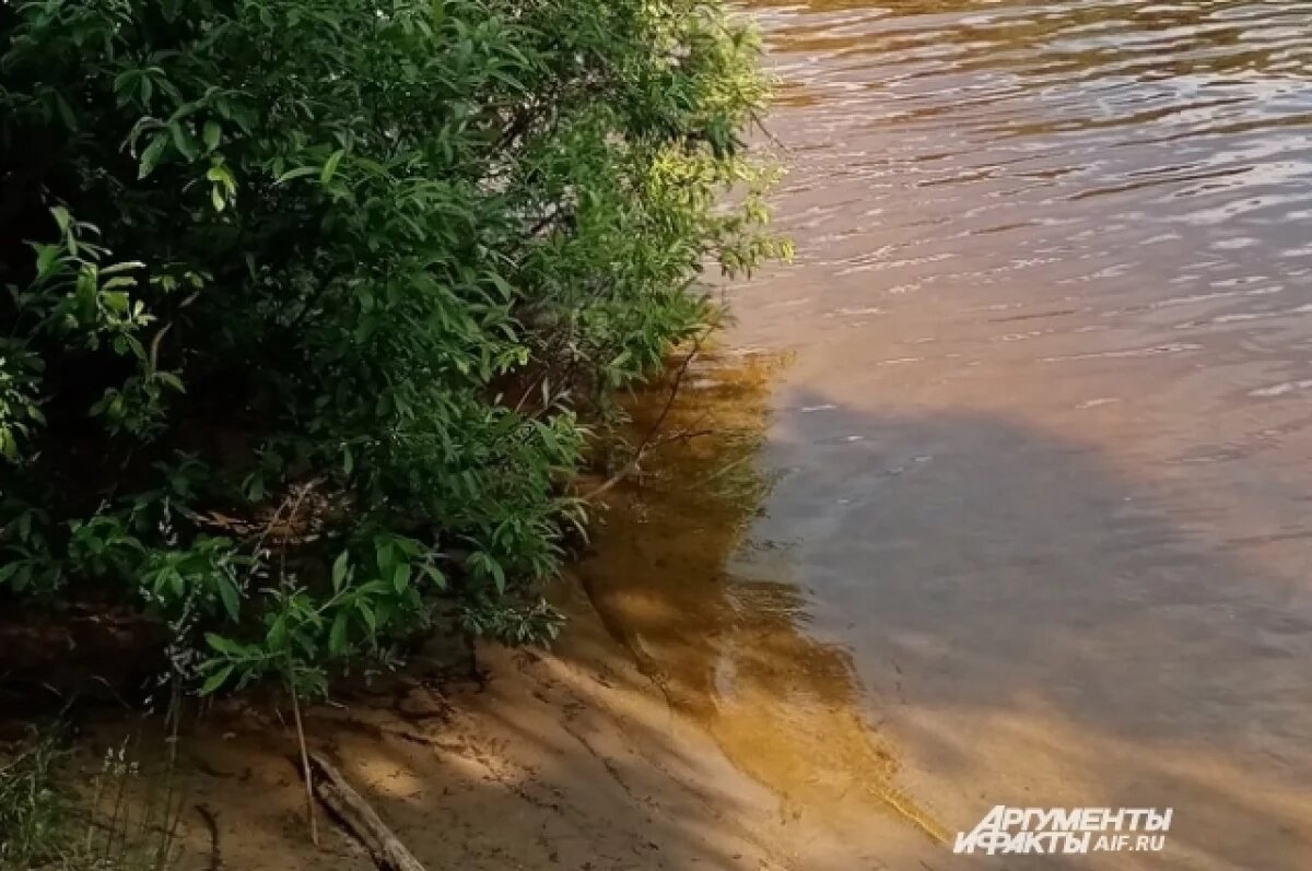    В Пермском крае мальчик и девочка утонули во время купания в Кунгуре