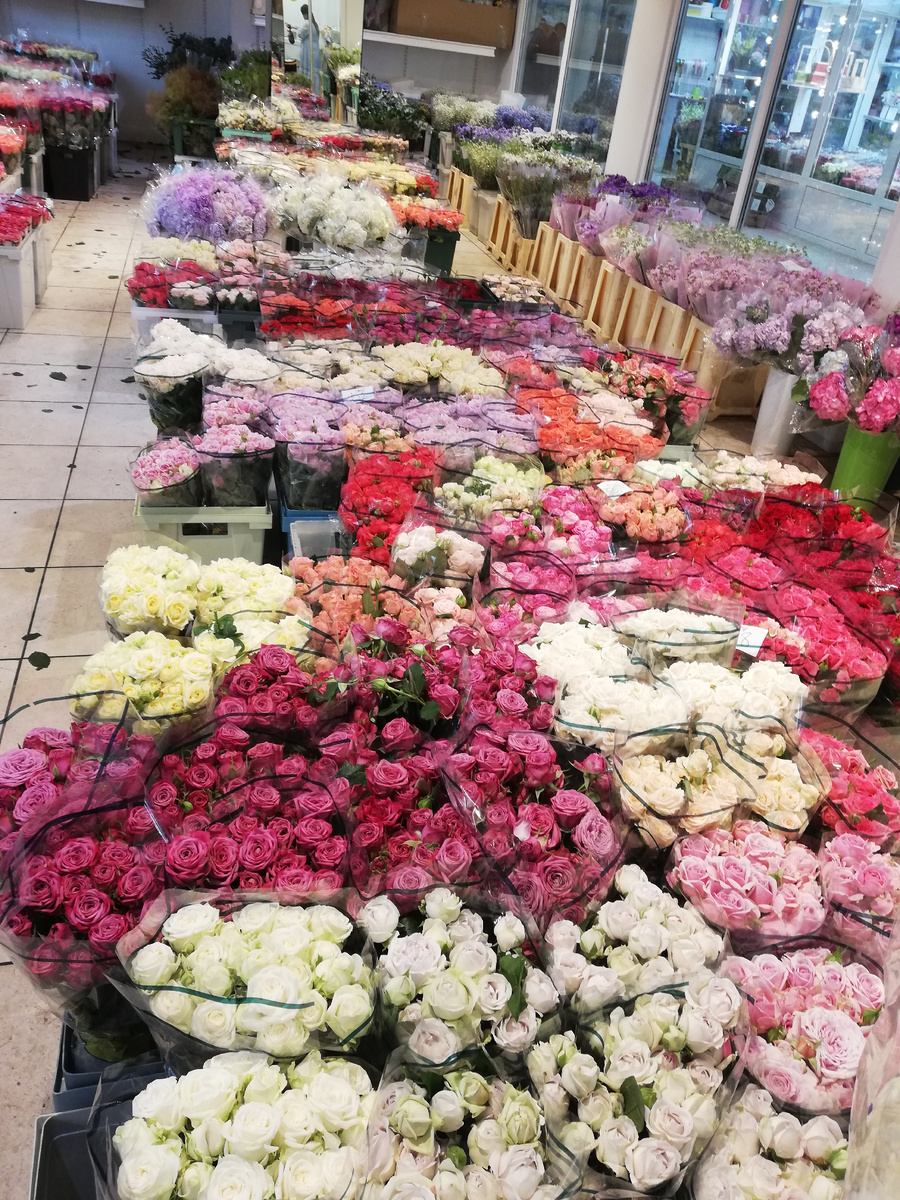 Море цветов