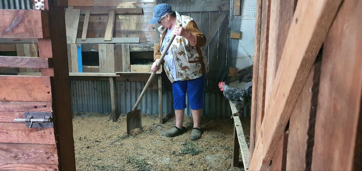 Добрый день дорогие друзья! Это я в своём курятнике. Приступаю к уборке