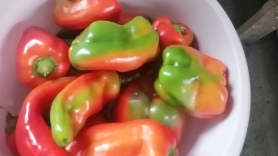 Результат народной подкормки 