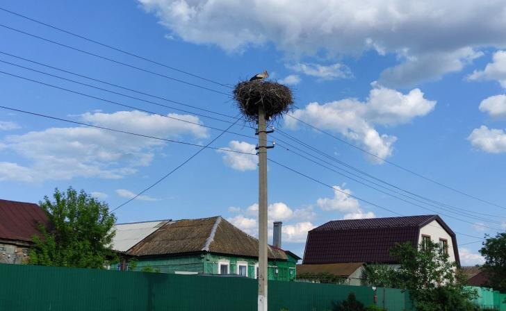    фото Курские известия