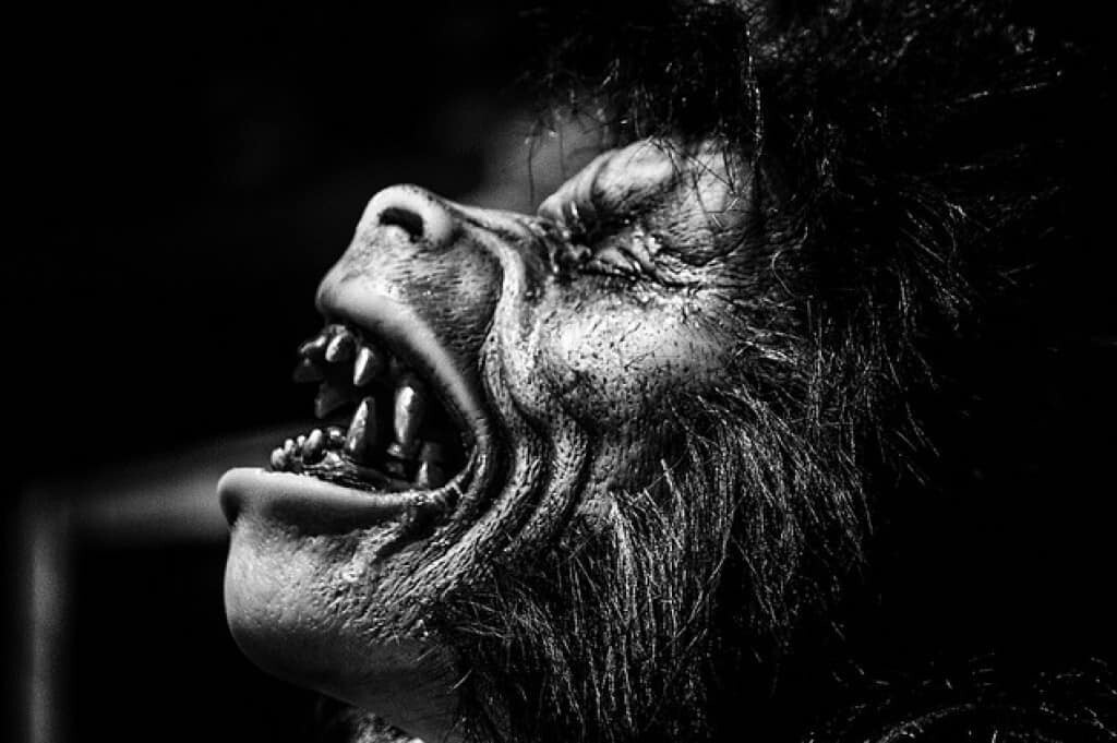 У мифа об оборотнях богатая история.