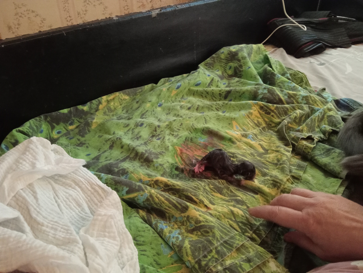 Первый пошел!