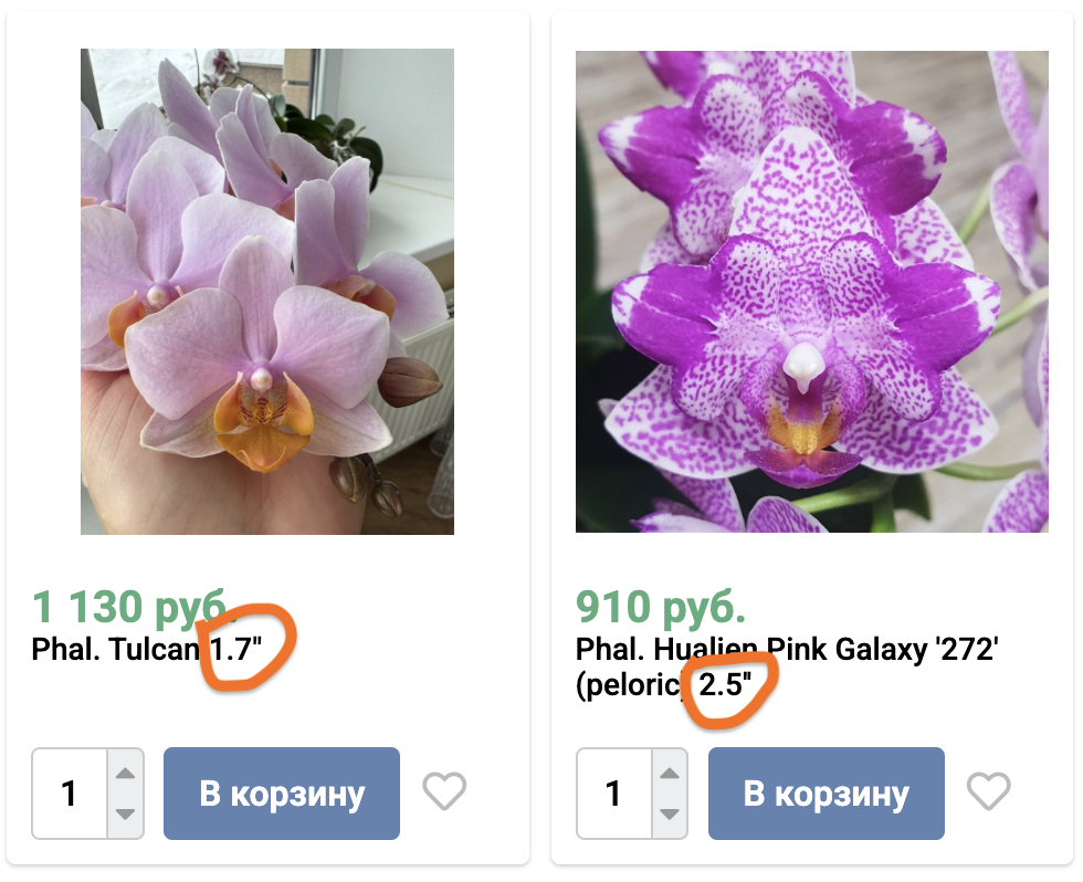 Скрин со страницы инет - магазина орхидей