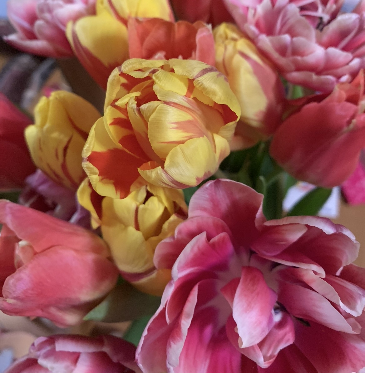 Ну не шкаф же на обложку к праздничной статье ставить) 