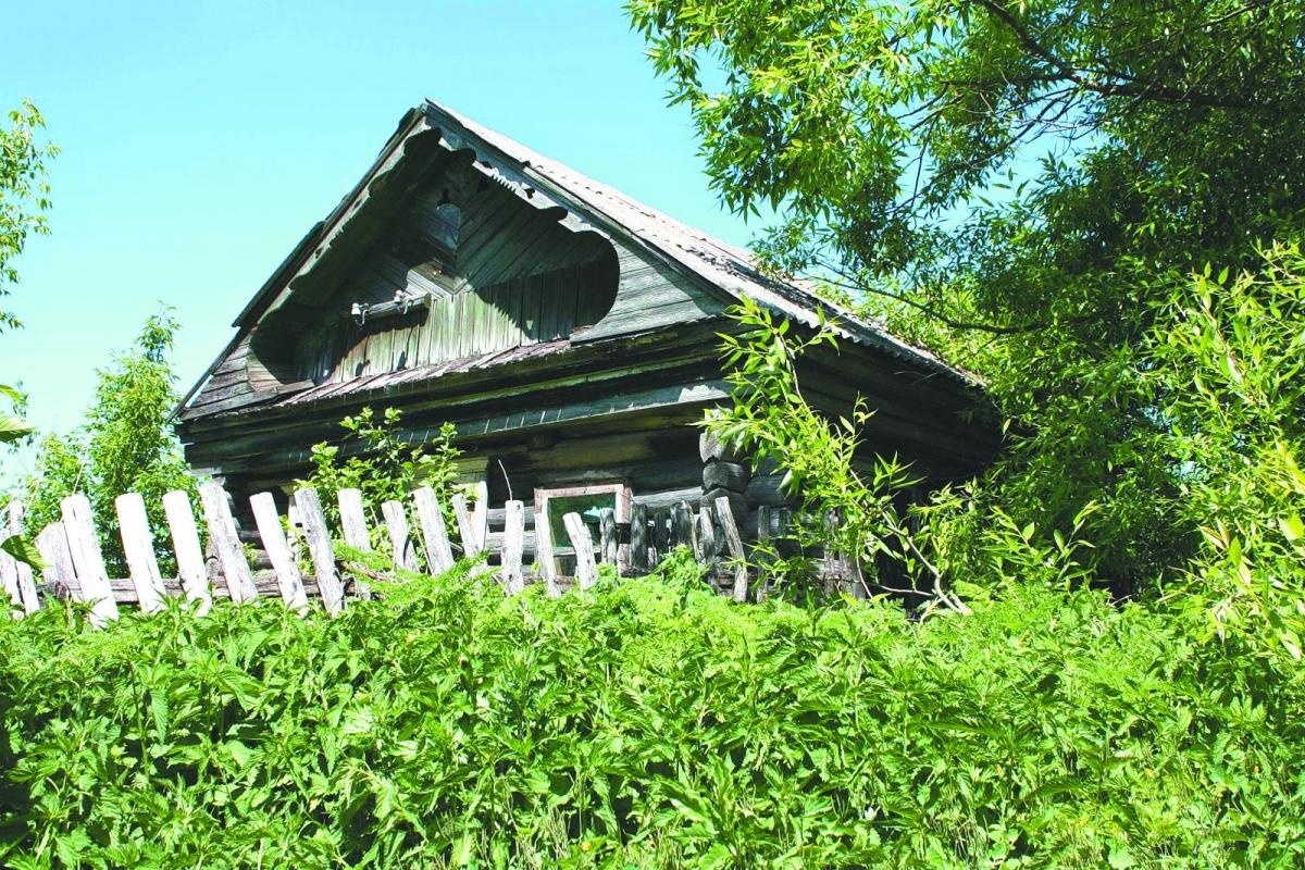 фото из интернета