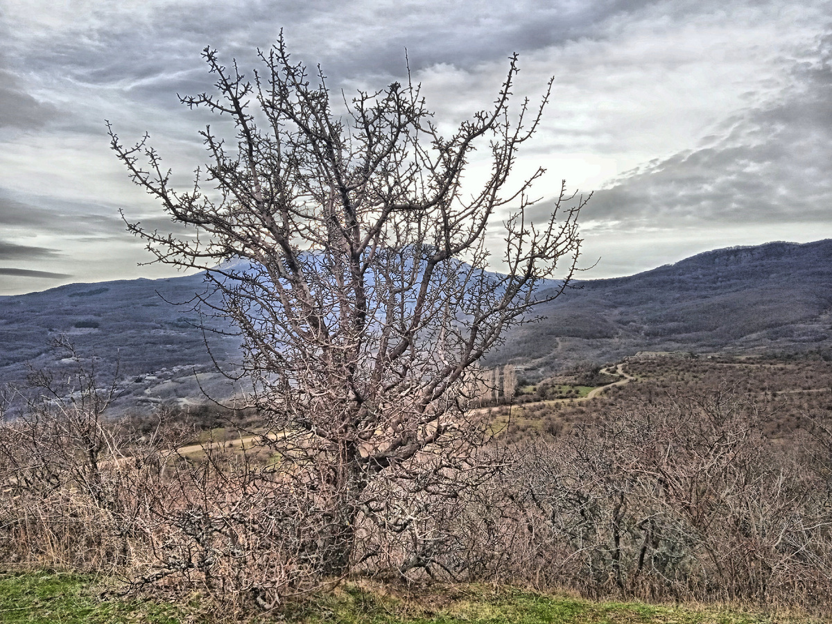 Зимняя тишина у Демерджи