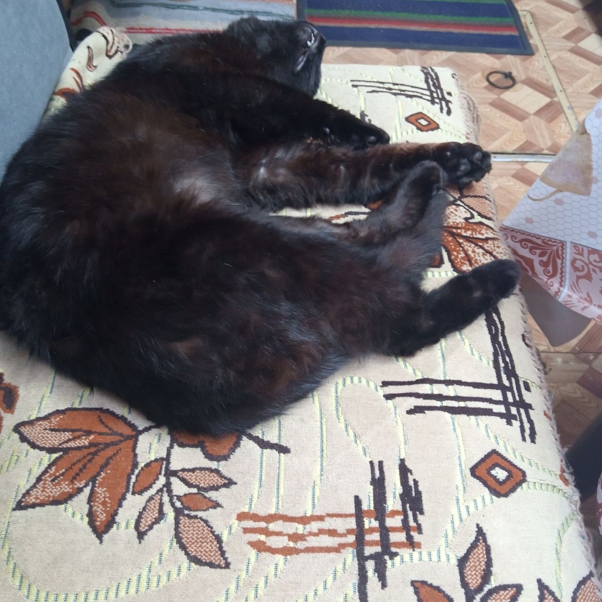 Поменяю Вам ламинат, обращайтесь))))