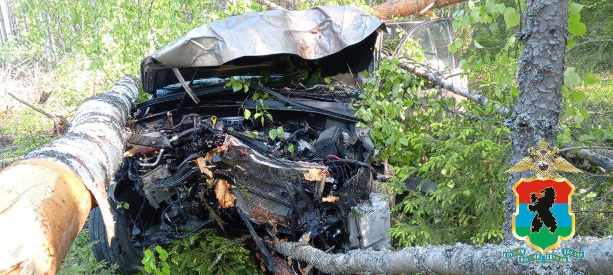    Фото: пресс-служба МВД Карелии