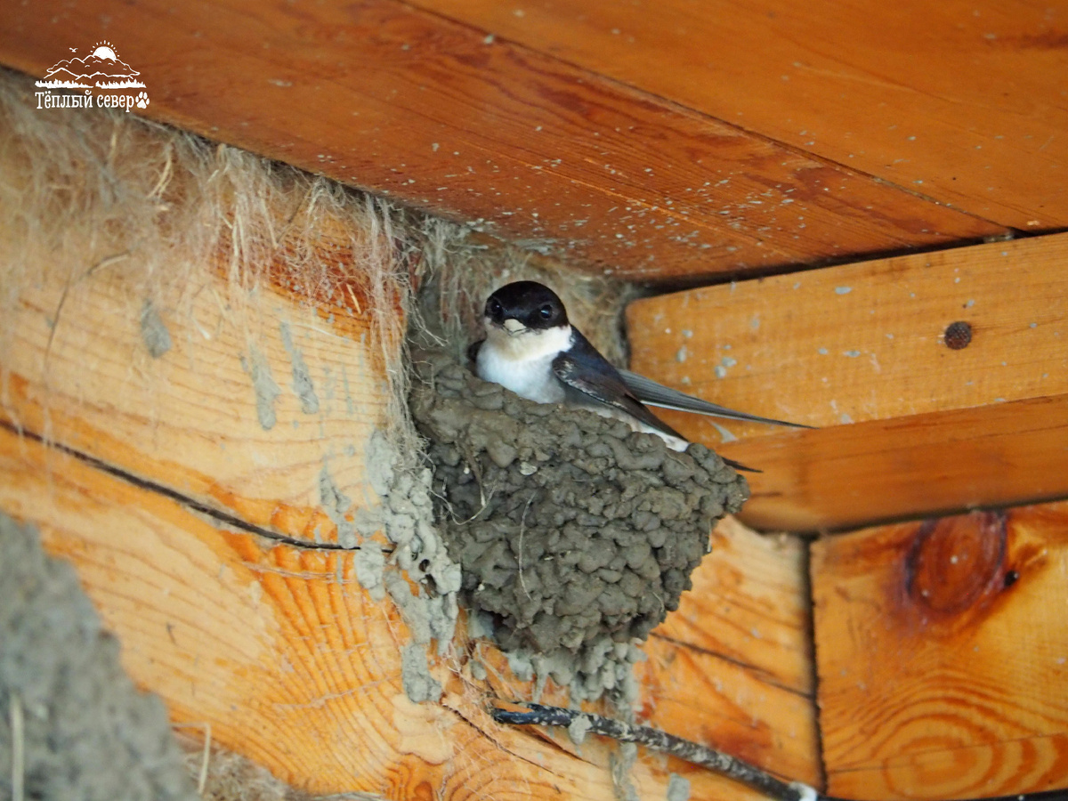 Листайте галерею, чтобы увидеть ещё фотографии