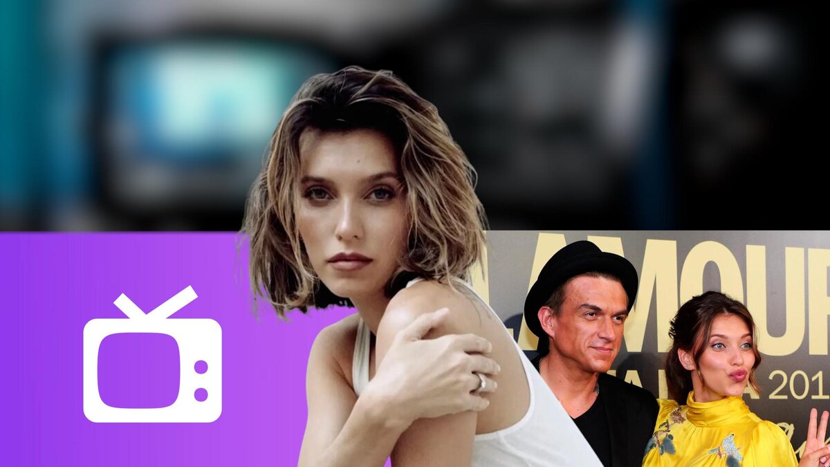 Коллаж 78.ru: pixabay.com; super.ru; uznayvse.ru; pngwing.com