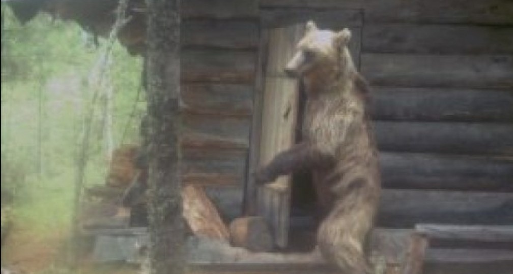 Медведь в зимовье.