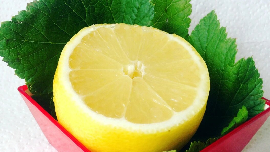    Alexander Legky/Globallookpress