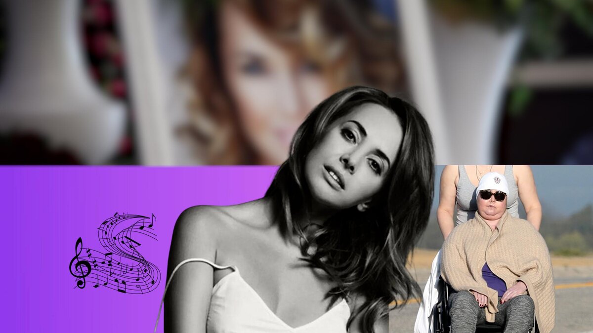 Коллаж 78.ru: uznayvse.ru; pngwing.com; globallookpress.com; super.ru