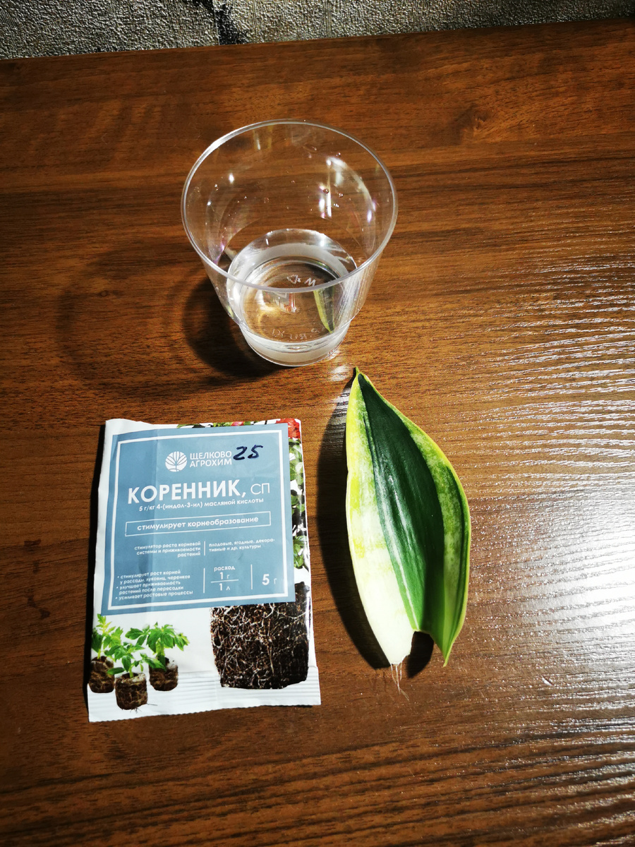 подготовка к началу эксперимента