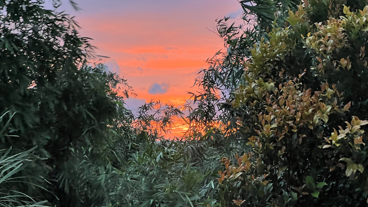 Вид окна гостиницы, там море 